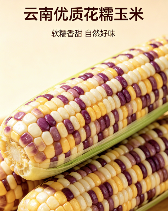 云南优质花糯玉米20斤