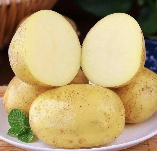 内蒙黄心土豆V7 3-8两50斤