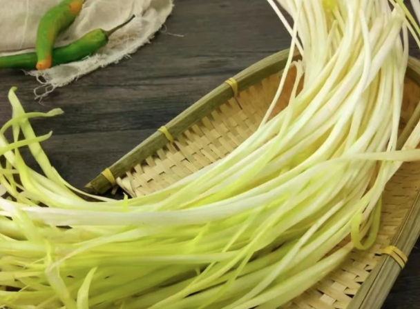 云南韭黄精品袋装40斤