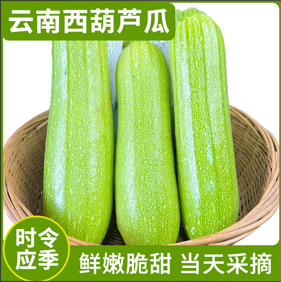 山东精品西葫芦（三月瓜） 件 28