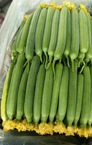 山东精品鲜花丝瓜件净重22