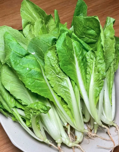 山东本地新鲜小白菜  袋装20 斤