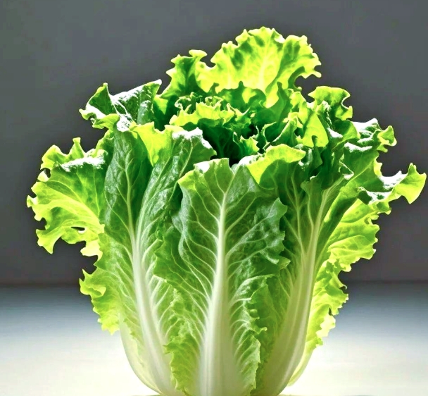 广西本地新鲜生菜件20斤