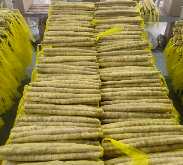 河北水洗网套精品铁棍山药