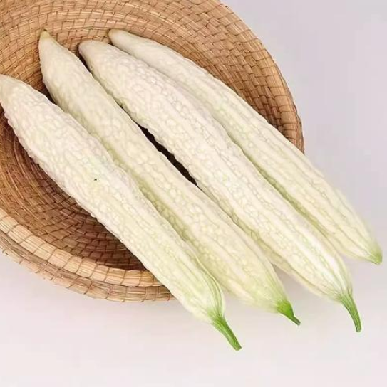 山东精品白苦瓜  件 19斤