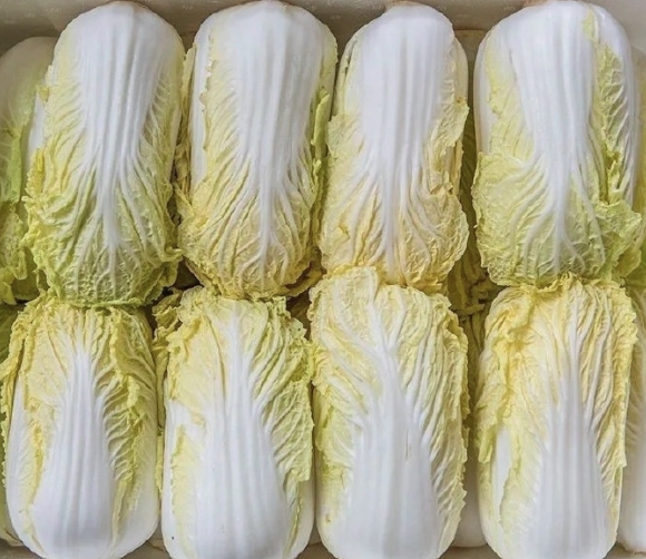 云南二黄小娃娃菜  28包1箱