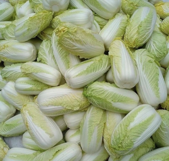 云南全黄大娃娃菜  袋装  20斤