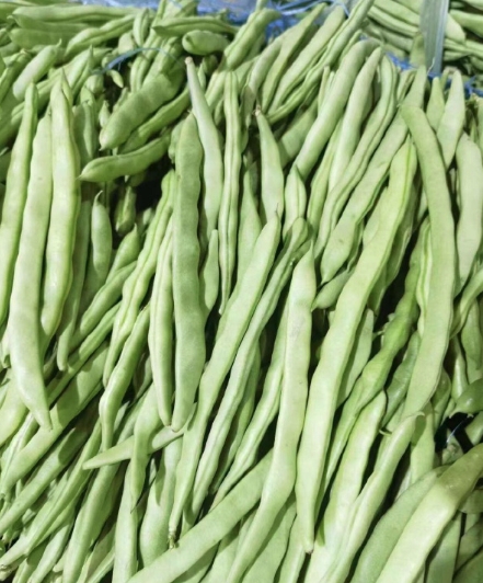 云南精品四季豆27 斤
