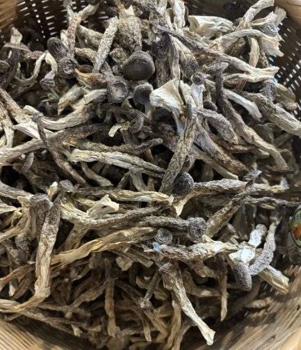 琪英精品鹿茸菇件5箱