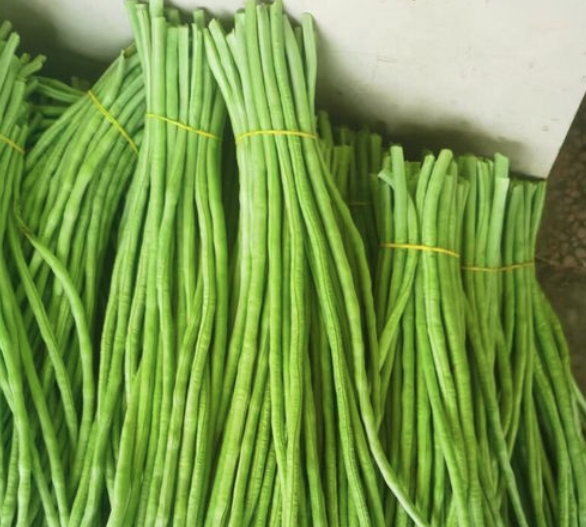 本地新鲜豇豆  袋装30斤