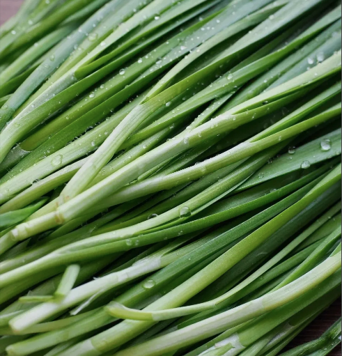 韭菜