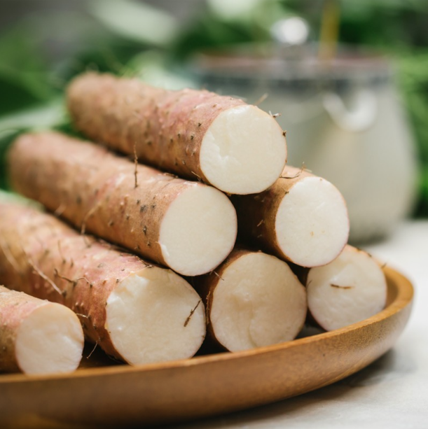 河北水洗铁棍山药