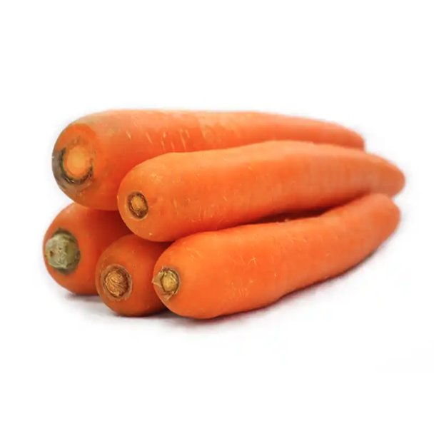 福建普通广胡萝卜