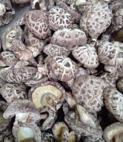 四川精品香菇袋装10袋