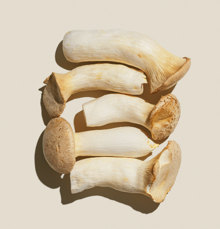 中延大号杏鲍菇