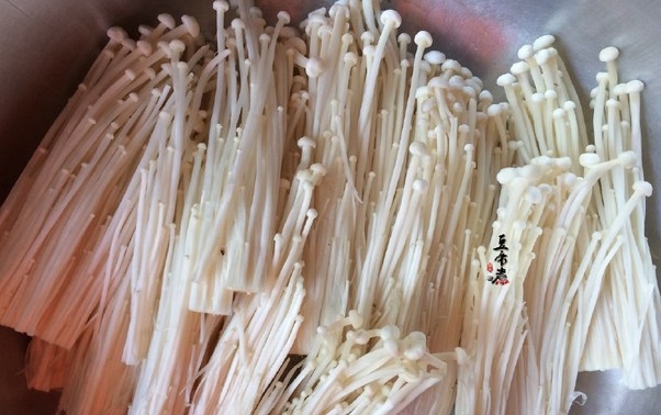 雪榕盒装切根金针菇  200g24盒