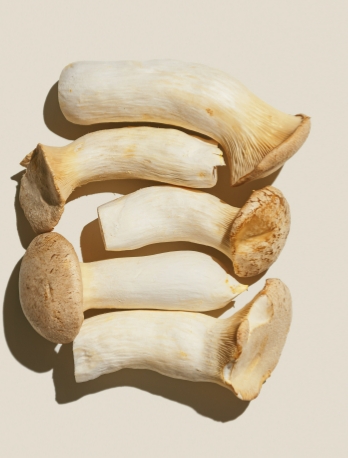 天福普通杏鲍菇袋装5斤