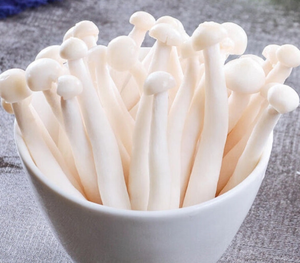 雪榕海鲜菇250g*40