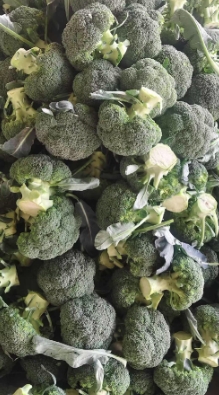 云南西兰花袋装20斤