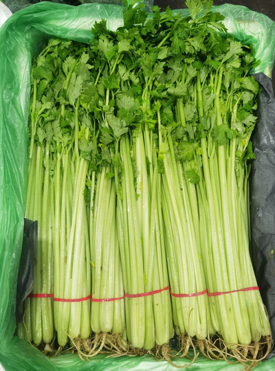 山东精品香芹件装 净重17斤