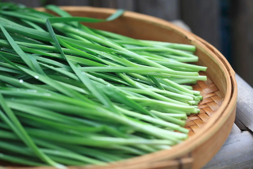 云南精品韭菜件装17斤