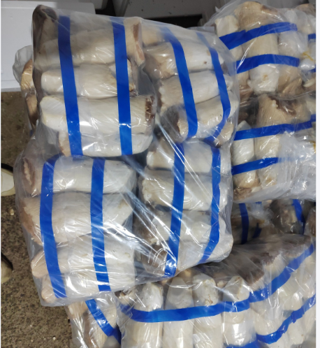 中延杏鲍菇精品4*5