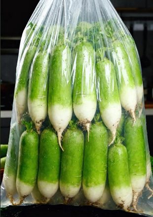 本地新鲜青头萝卜40斤