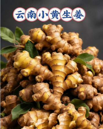 云南水洗老姜小黄姜20斤