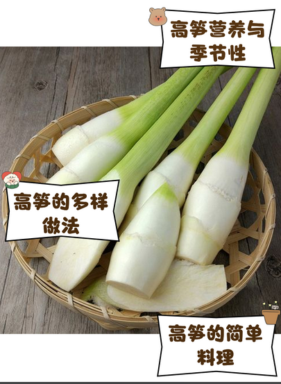 广东普通茭白（高笋）24斤