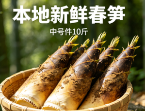 本地新鲜春笋  中号件 10斤
