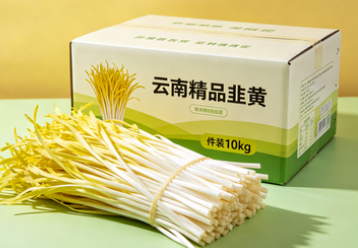 云南精品韭黄  件装10