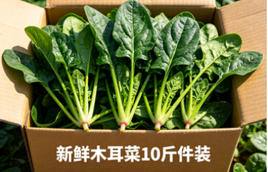 新鲜木耳菜10斤件装