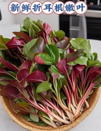 本地折耳根叶