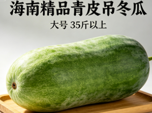 海南精品青皮吊冬瓜  大号  35斤以上