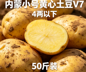 内蒙小号黄心土豆V7  4两以下  50