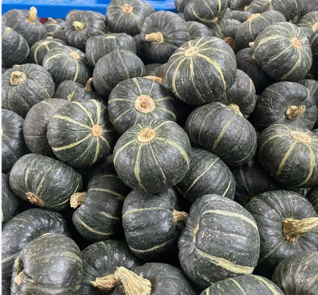 广东精品贝贝南瓜30斤